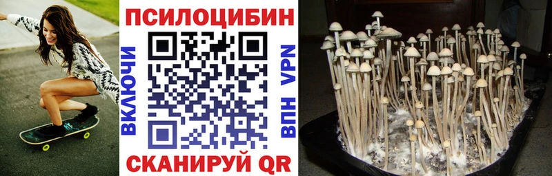 Галлюциногенные грибы Psilocybine cubensis  Симферополь 